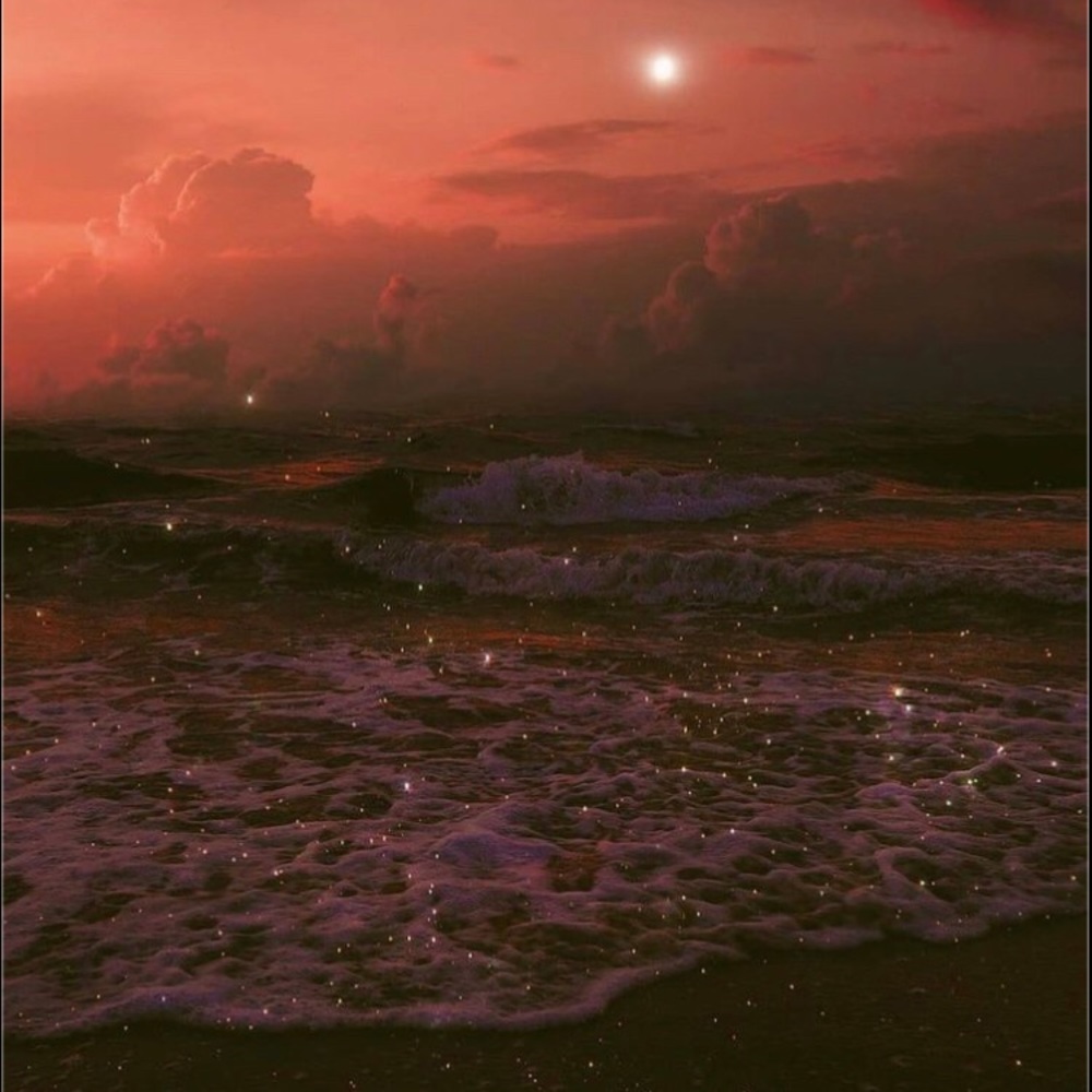 Meet your Posher, Beach